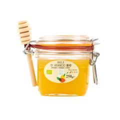 000028609-giu-giu-miele-arancio-bio-vasetto-spargimiele-gr250